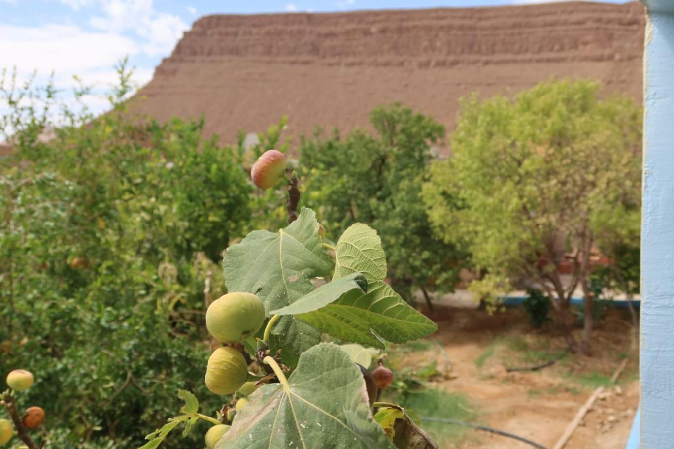 Gite D'Etape Ziz Oasis Achbarou Ngoại thất bức ảnh