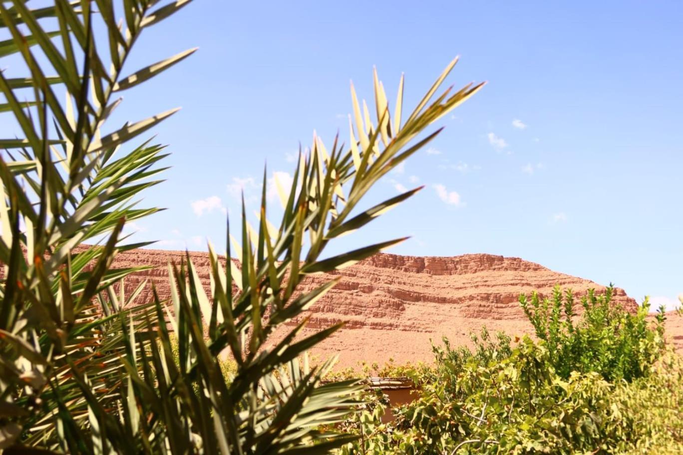 Gite D'Etape Ziz Oasis Achbarou Ngoại thất bức ảnh