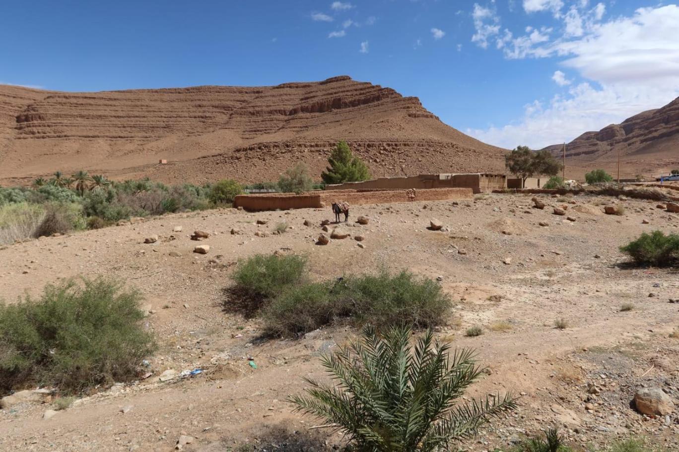 Gite D'Etape Ziz Oasis Achbarou Ngoại thất bức ảnh