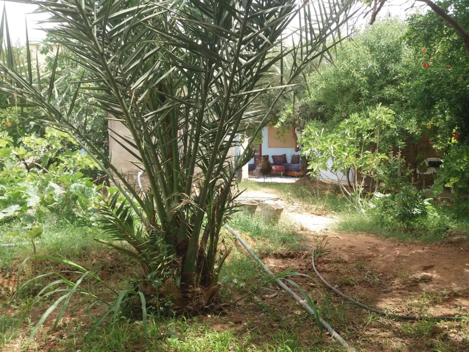 Gite D'Etape Ziz Oasis Achbarou Ngoại thất bức ảnh
